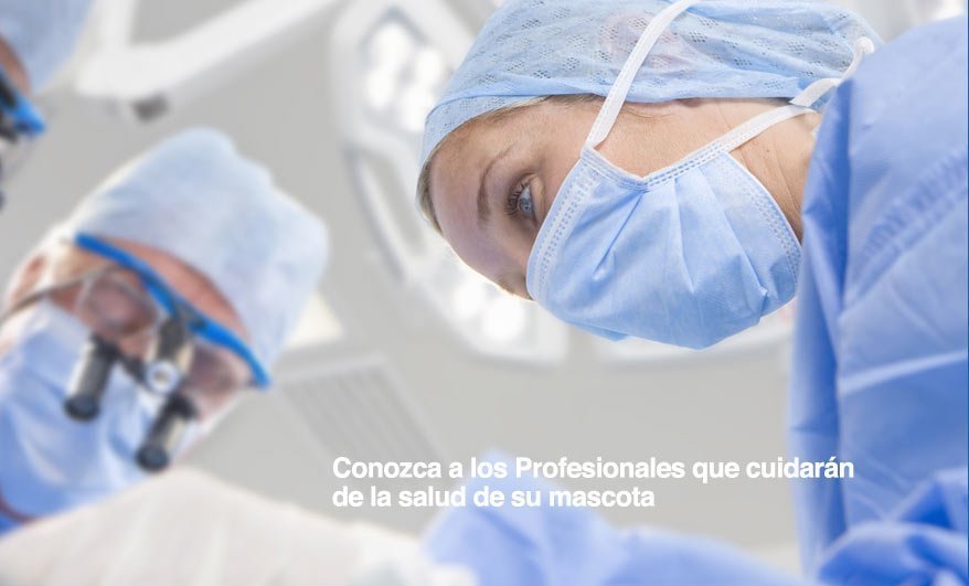 Veterinario de urgencias Sevilla